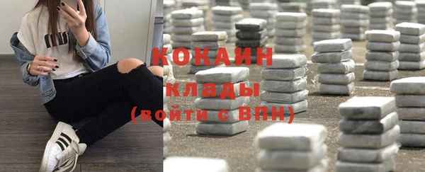 шишки Абинск