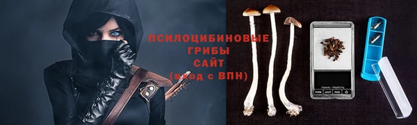 стаф Абдулино