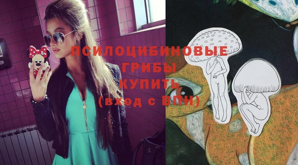 шишки Абинск