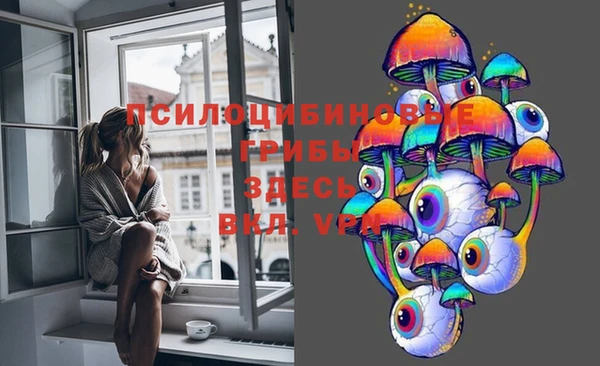 прущие грибы Абаза