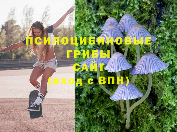 шишки Абинск