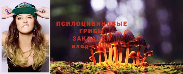 стаф Абдулино